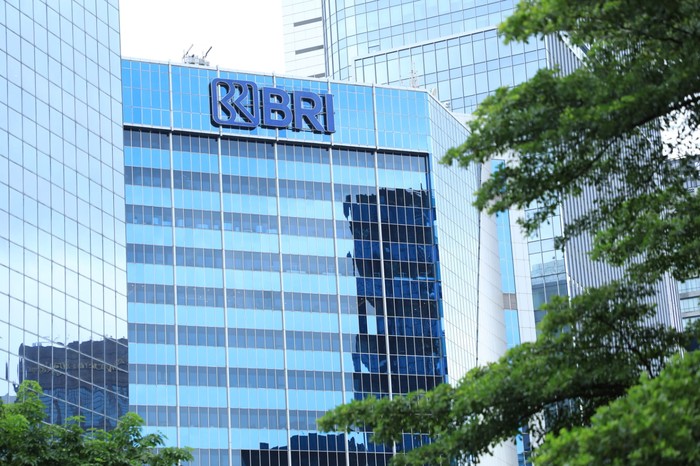 Transformasi BRI 2029: Strategi Digital dan Fundamental
